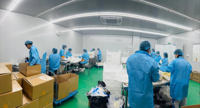营口镁砂：未来建材行业的潜力股？